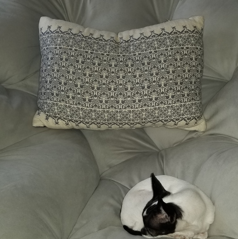 Blue & White accent pillow